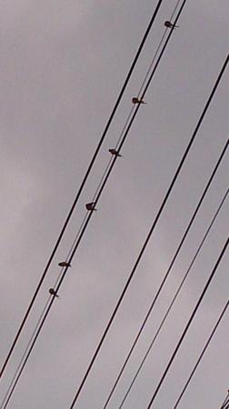 rps20131026_170047.jpg